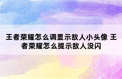 王者荣耀怎么调显示敌人小头像 王者荣耀怎么提示敌人没闪